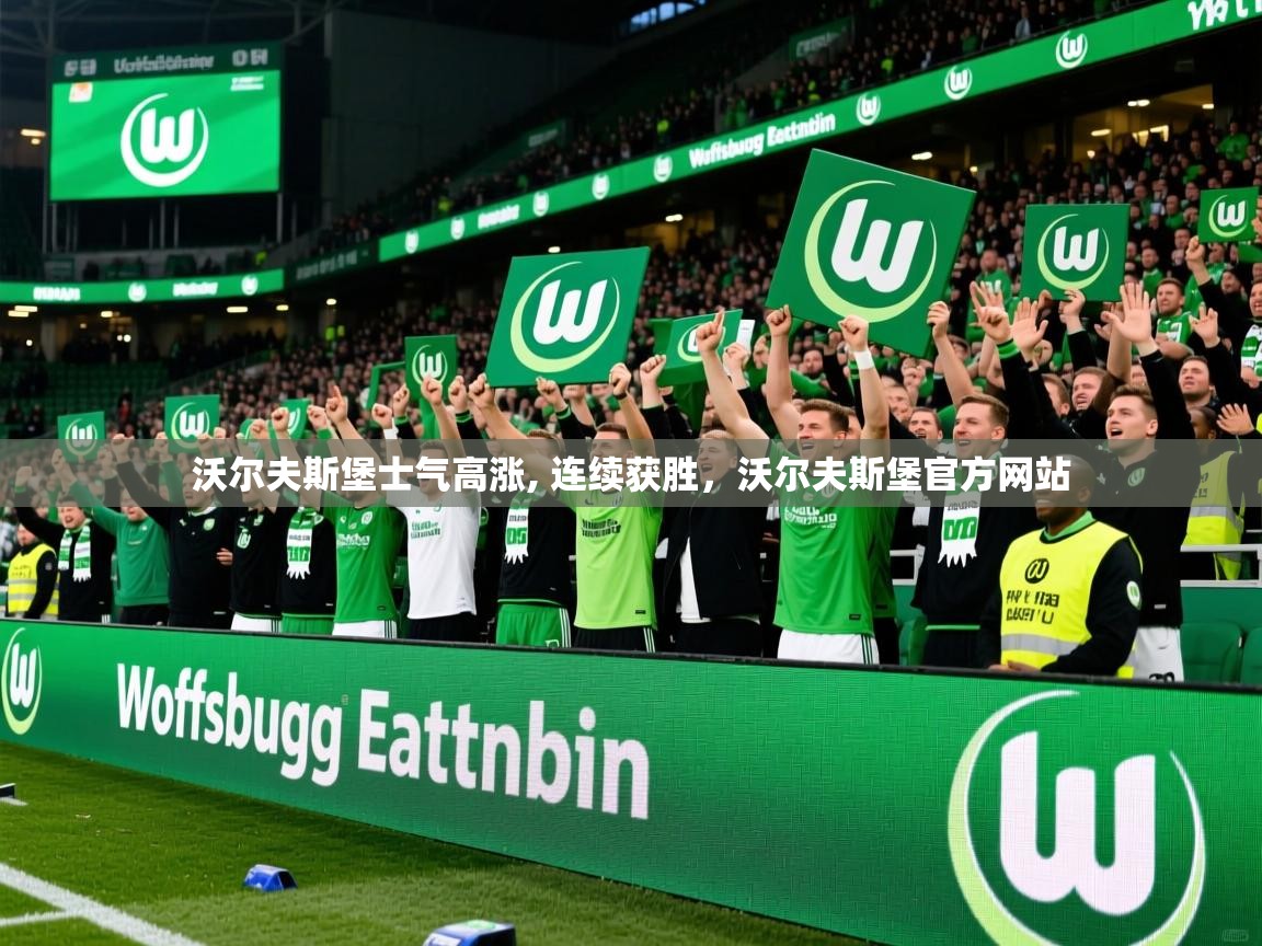 沃尔夫斯堡士气高涨, 连续获胜，沃尔夫斯堡官方网站