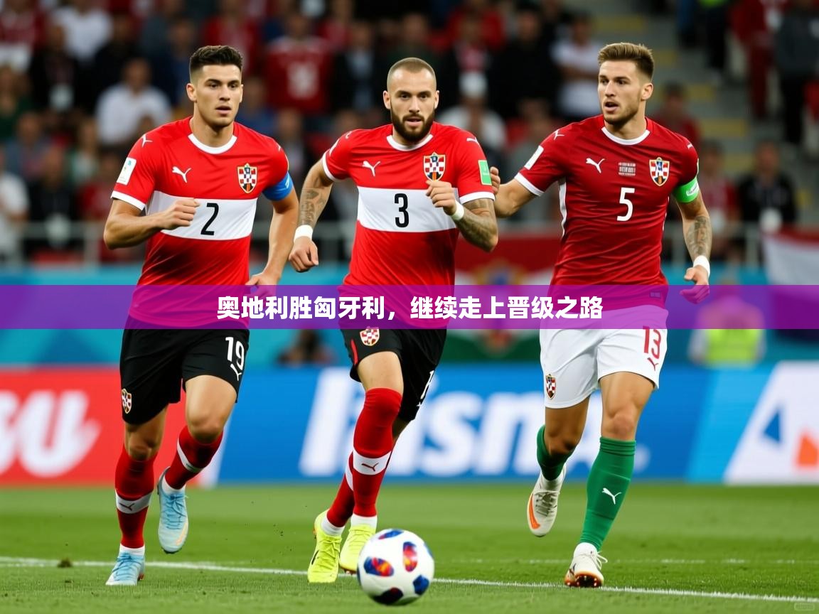 奥地利胜匈牙利,继续走上晋级之路 奥地利胜匈牙利,继续走上晋级之路