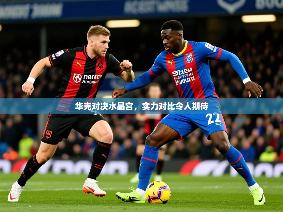 华克对决水晶宫，实力对比令人期待