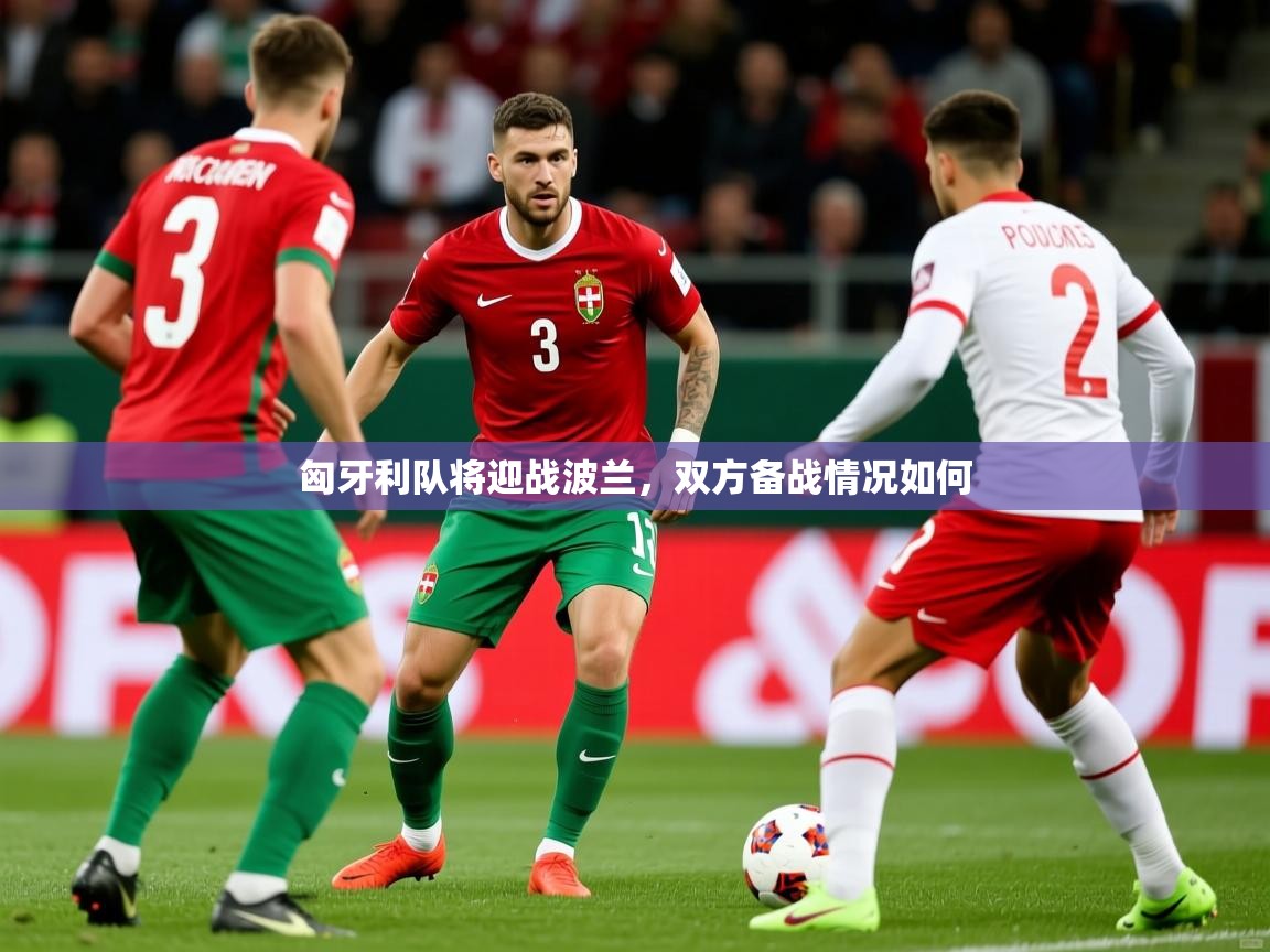 匈牙利队将迎战波兰，双方备战情况如何