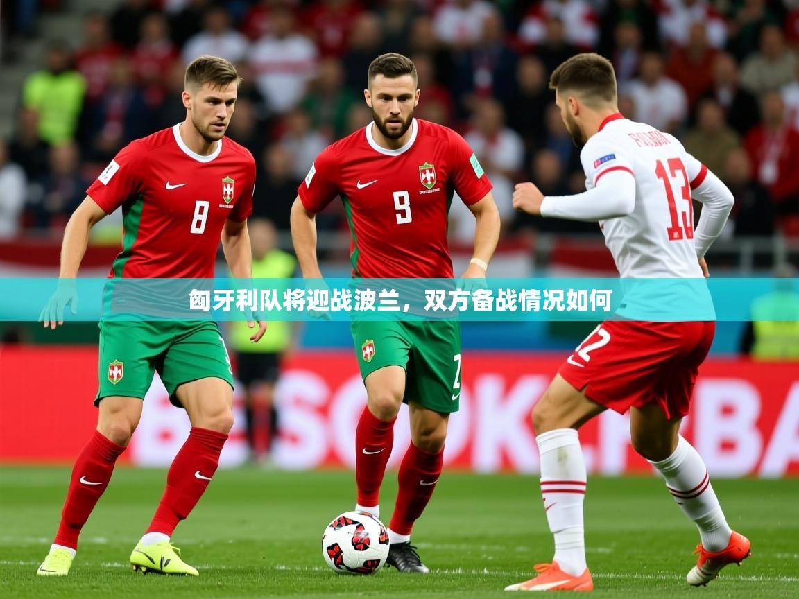 匈牙利队将迎战波兰，双方备战情况如何
